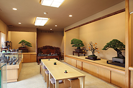 Omiya Bonsai Village 盆栽園